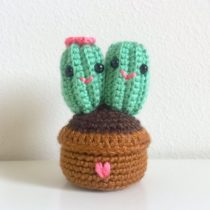 haakpatroon cactus
