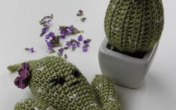cactus met lavendel