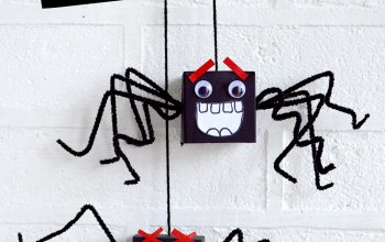 cardboard-box-spiders-pin
